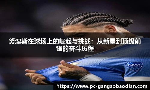 努涅斯在球场上的崛起与挑战：从新星到顶级前锋的奋斗历程