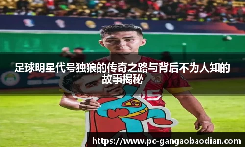 足球明星代号独狼的传奇之路与背后不为人知的故事揭秘